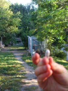 Cloe showing me a bean with a good shot of their back yard complete with chicken enclosure.